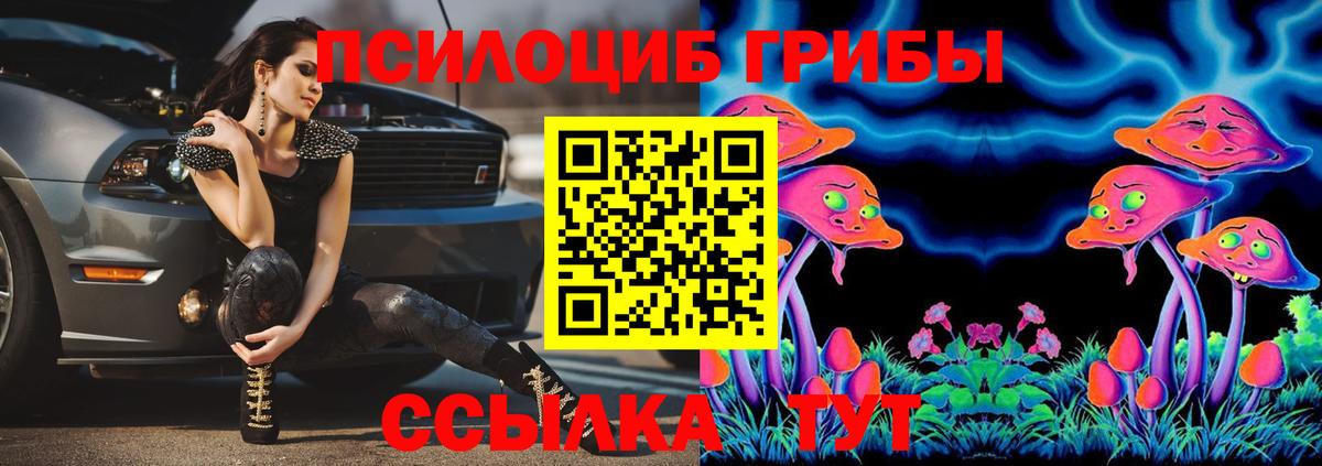 Галлюциногенные грибы ЛСД  Галлюциногенные грибы GOLDEN TEACHER  купить наркотики цена  Трёхгорный  Вход с VPN 