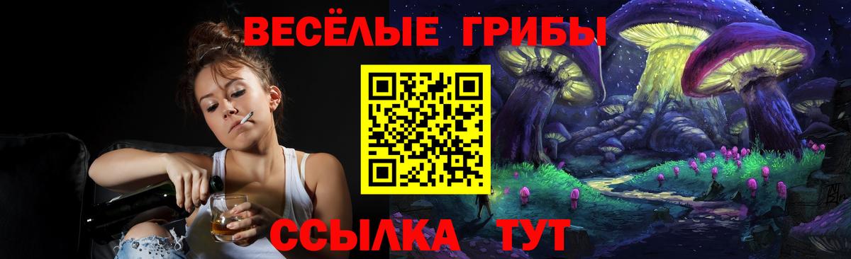 Псилоцибиновые грибы Psilocybe Трёхгорный
